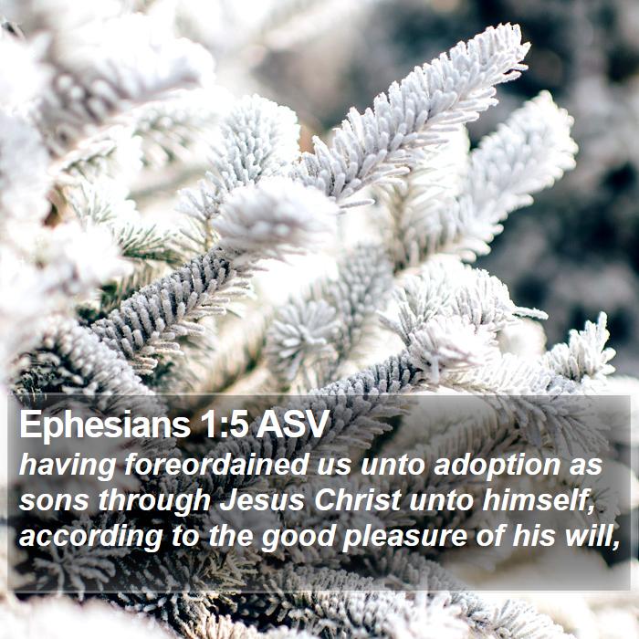 Ephesians 1:5 ASV Bible Study