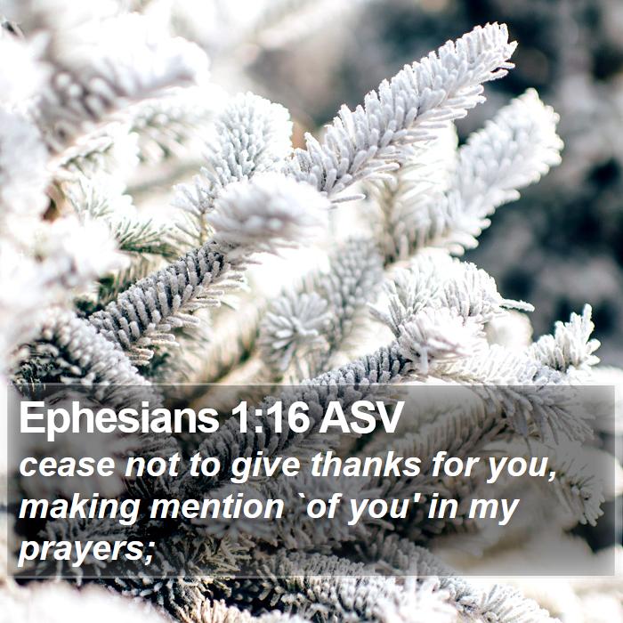 Ephesians 1:16 ASV Bible Study