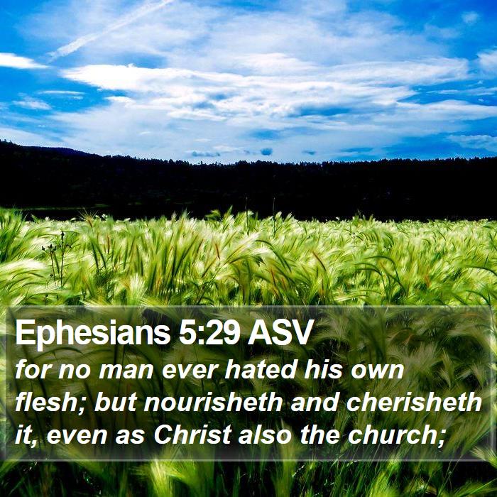 Ephesians 5:29 ASV Bible Study