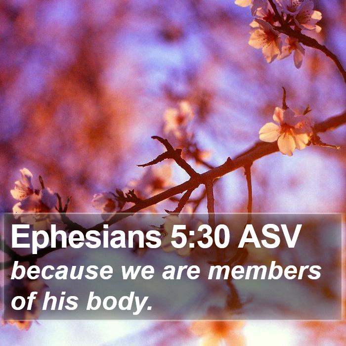 Ephesians 5:30 ASV Bible Study