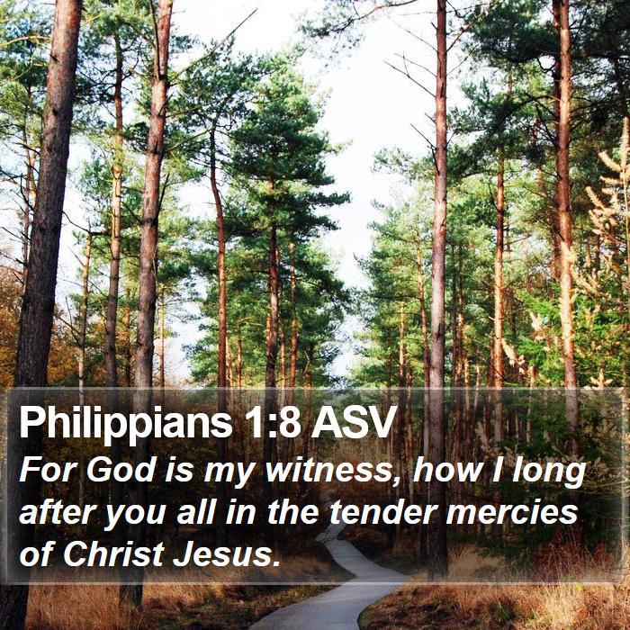 Philippians 1:8 ASV Bible Study