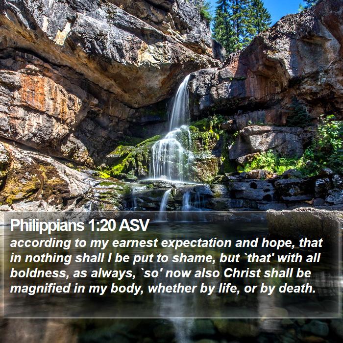 Philippians 1:20 ASV Bible Study