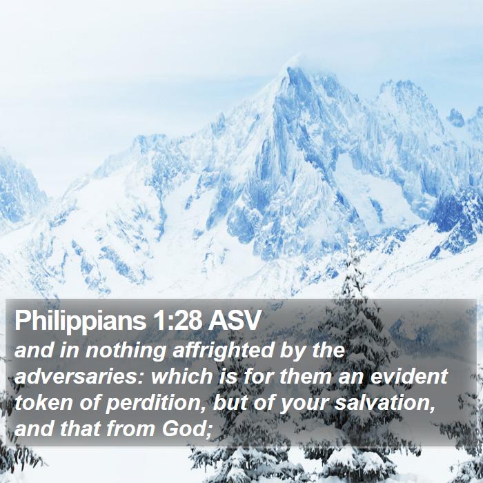 Philippians 1:28 ASV Bible Study