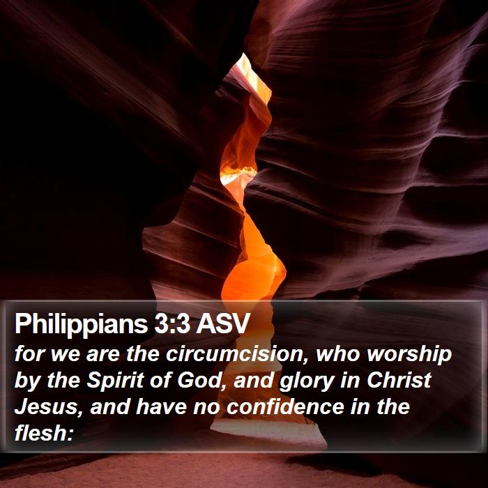 Philippians 3:3 ASV Bible Study