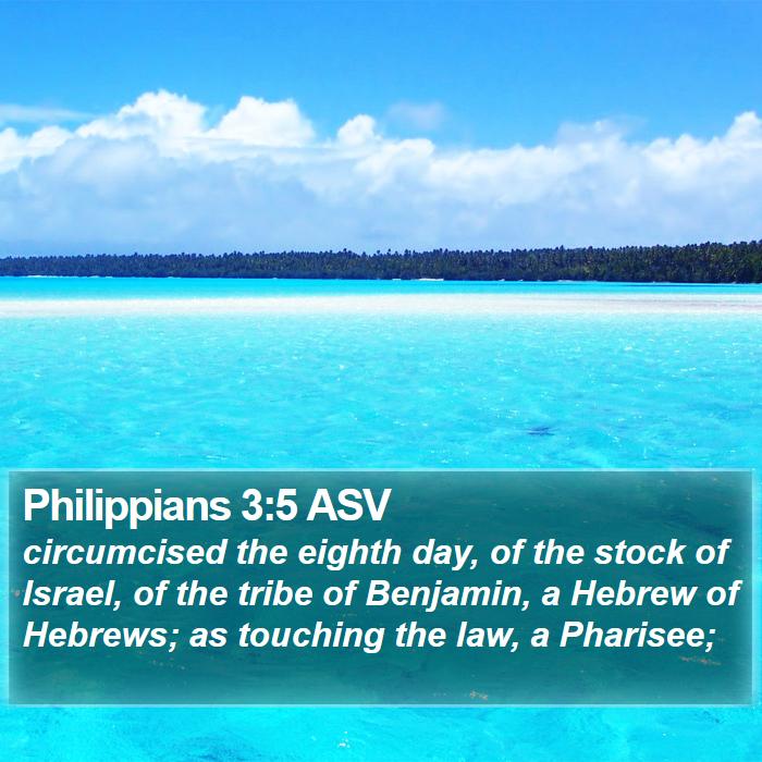 Philippians 3:5 ASV Bible Study