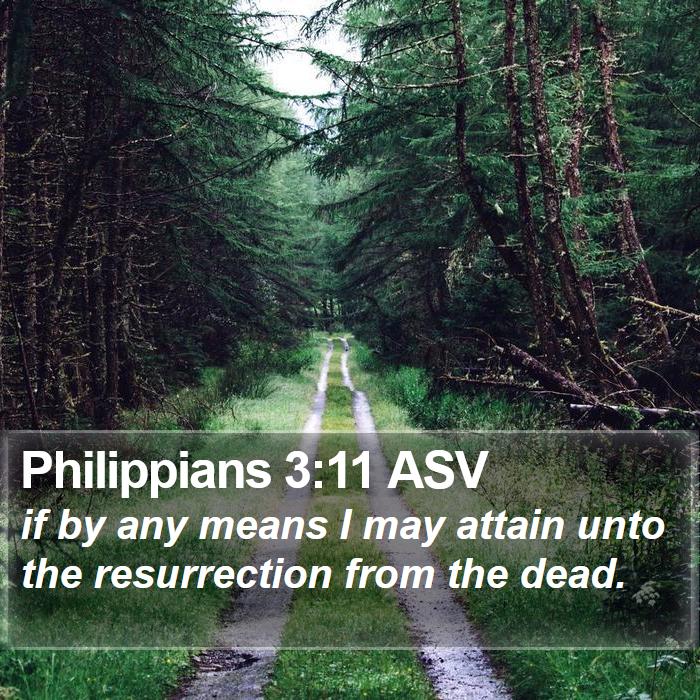 Philippians 3:11 ASV Bible Study