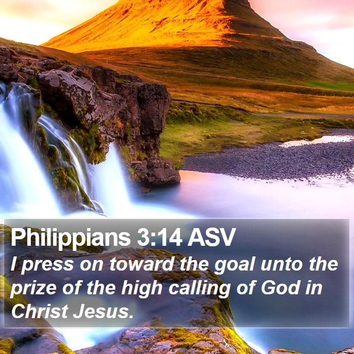 Philippians 3:14 ASV Bible Study