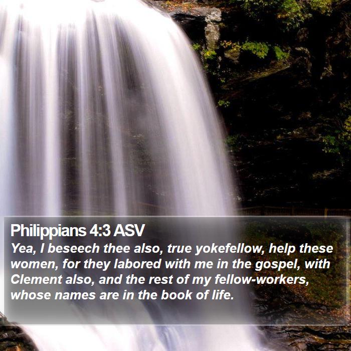 Philippians 4:3 ASV Bible Study