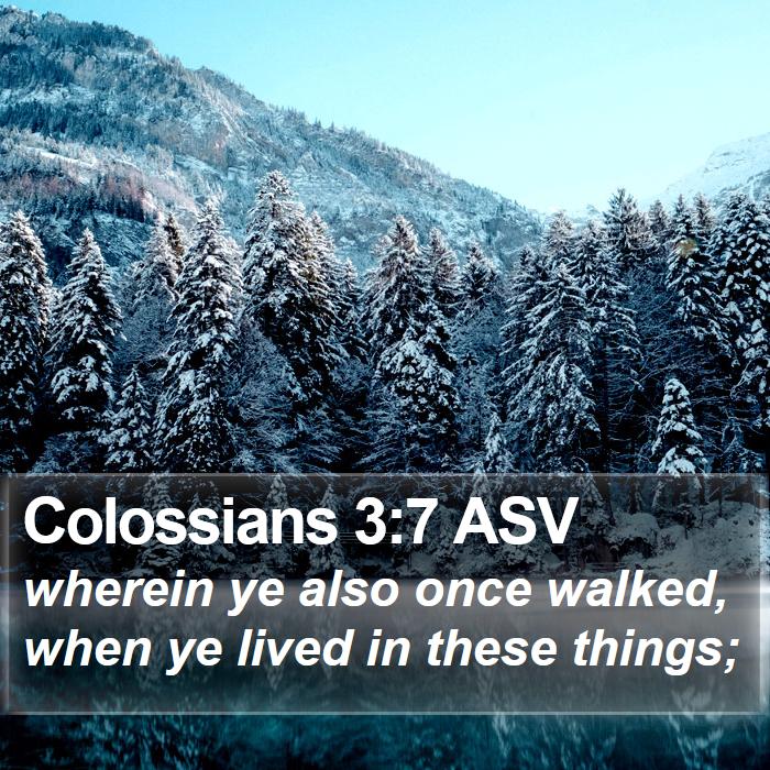 Colossians 3:7 ASV Bible Study