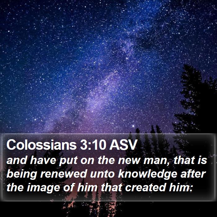 Colossians 3:10 ASV Bible Study