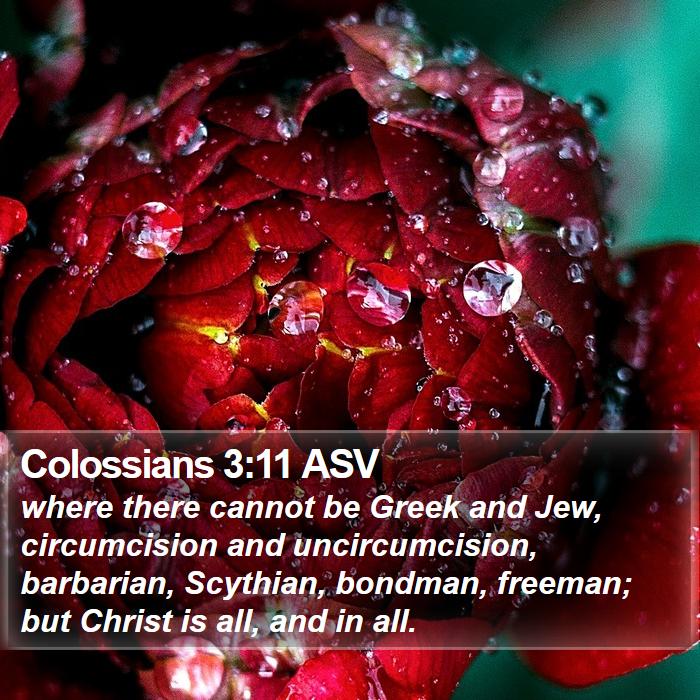 Colossians 3:11 ASV Bible Study