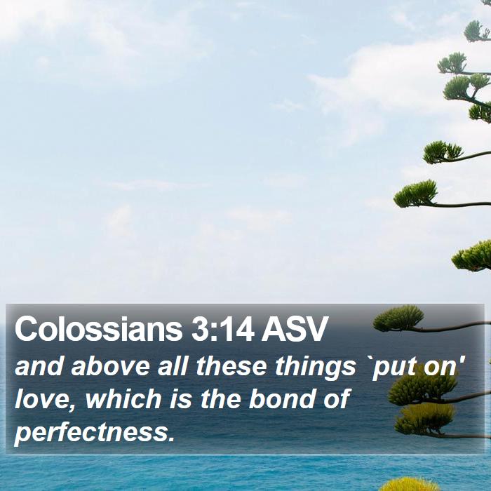 Colossians 3:14 ASV Bible Study