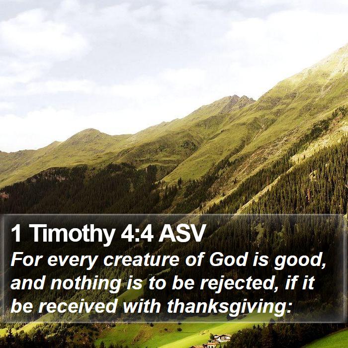 1 Timothy 4:4 ASV Bible Study