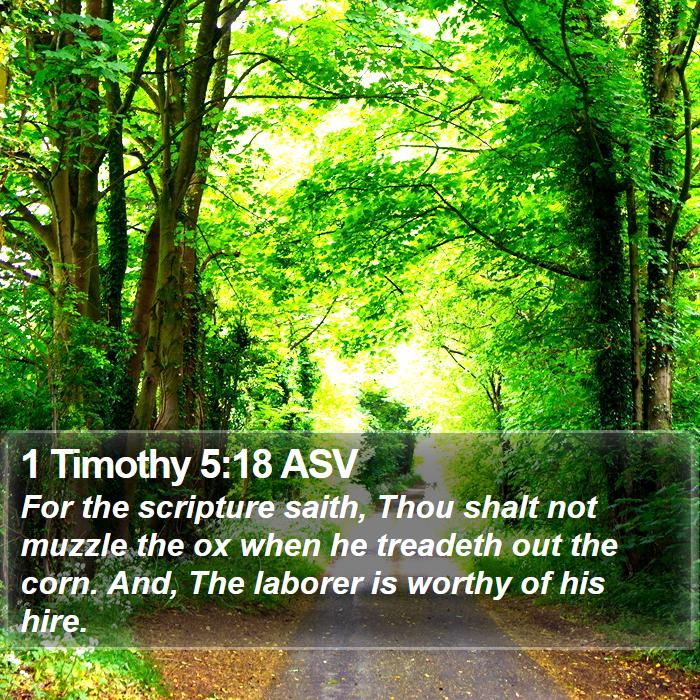 1 Timothy 5:18 ASV Bible Study