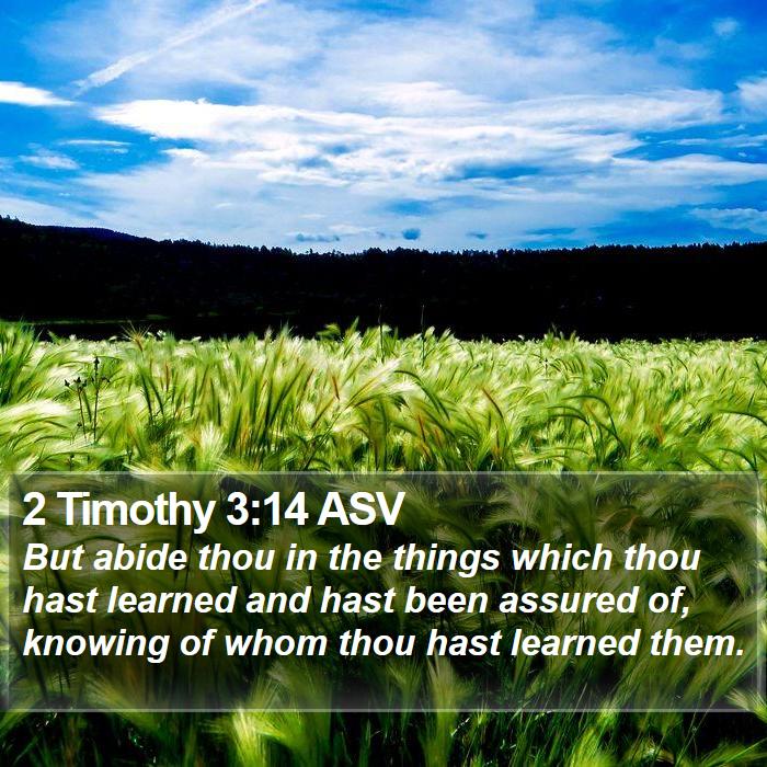 2 Timothy 3:14 ASV Bible Study