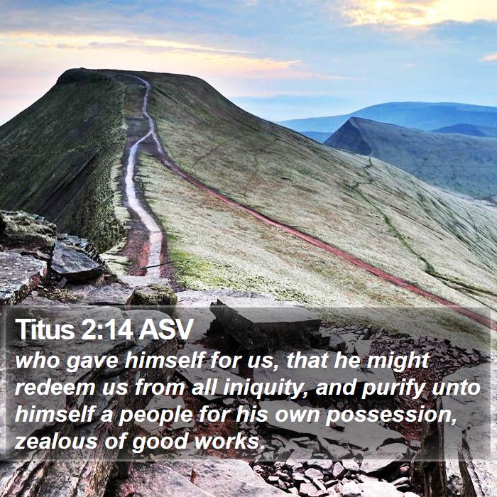 Titus 2:14 ASV Bible Study