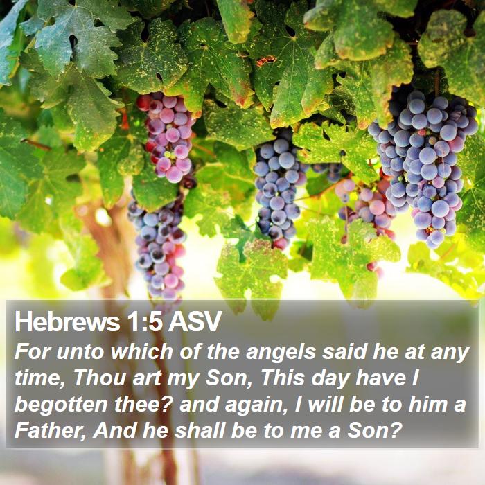 Hebrews 1:5 ASV Bible Study