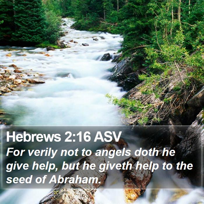 Hebrews 2:16 ASV Bible Study