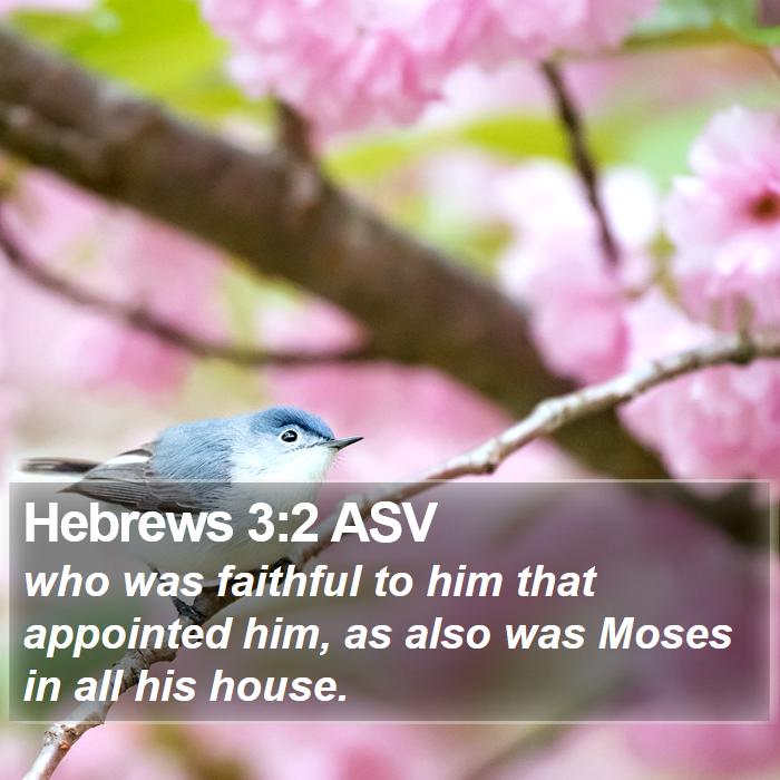 Hebrews 3:2 ASV Bible Study