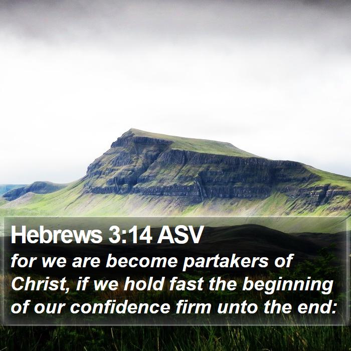 Hebrews 3:14 ASV Bible Study