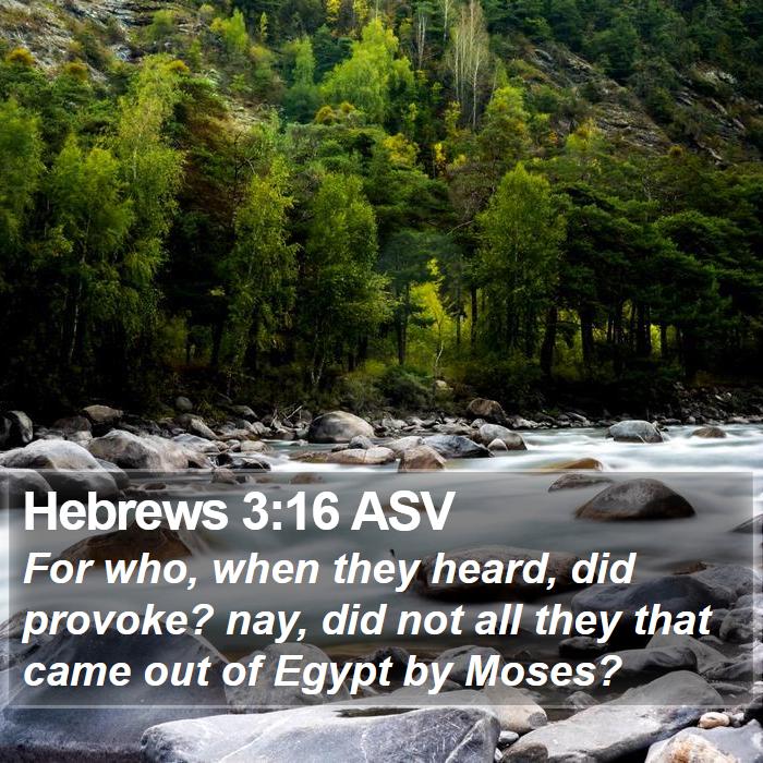 Hebrews 3:16 ASV Bible Study