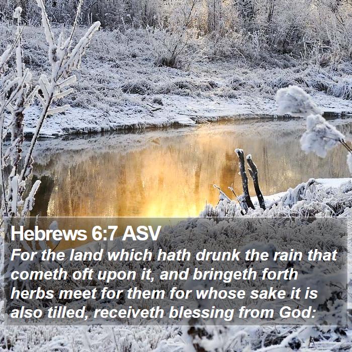 Hebrews 6:7 ASV Bible Study