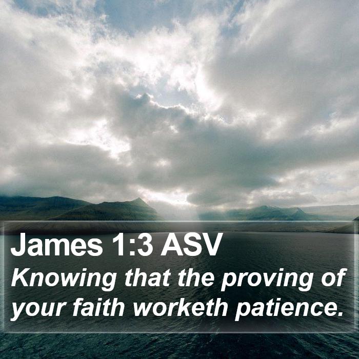 James 1:3 ASV Bible Study