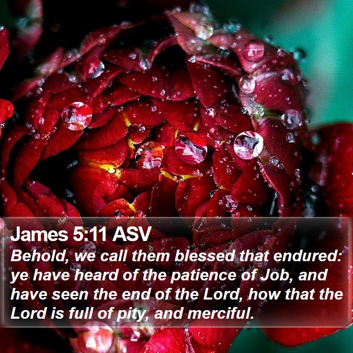 James 5:11 ASV Bible Study