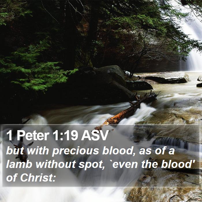 1 Peter 1:19 ASV Bible Study