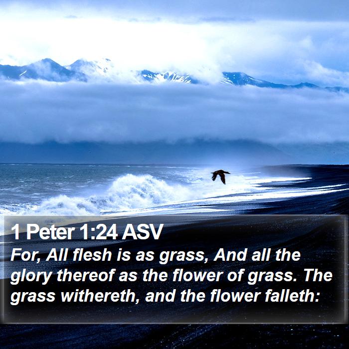 1 Peter 1:24 ASV Bible Study