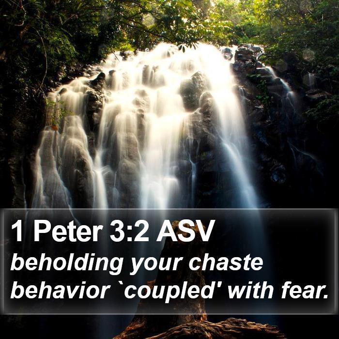 1 Peter 3:2 ASV Bible Study