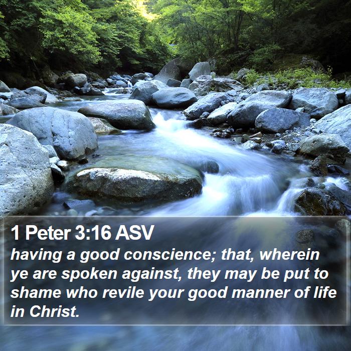 1 Peter 3:16 ASV Bible Study