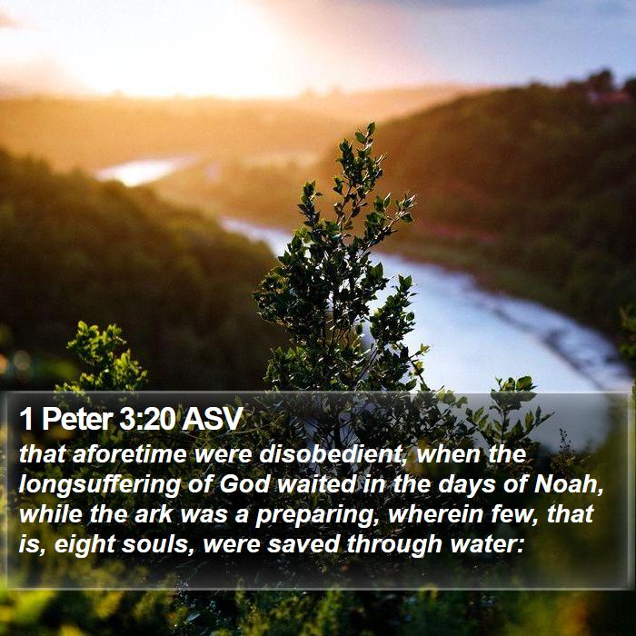 1 Peter 3:20 ASV Bible Study