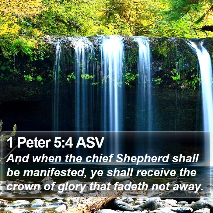 1 Peter 5:4 ASV Bible Study