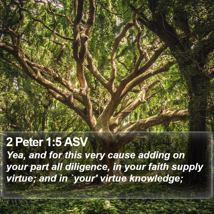 2 Peter 1:5 ASV Bible Study