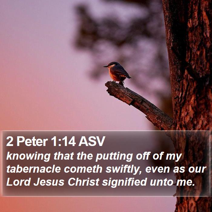 2 Peter 1:14 ASV Bible Study