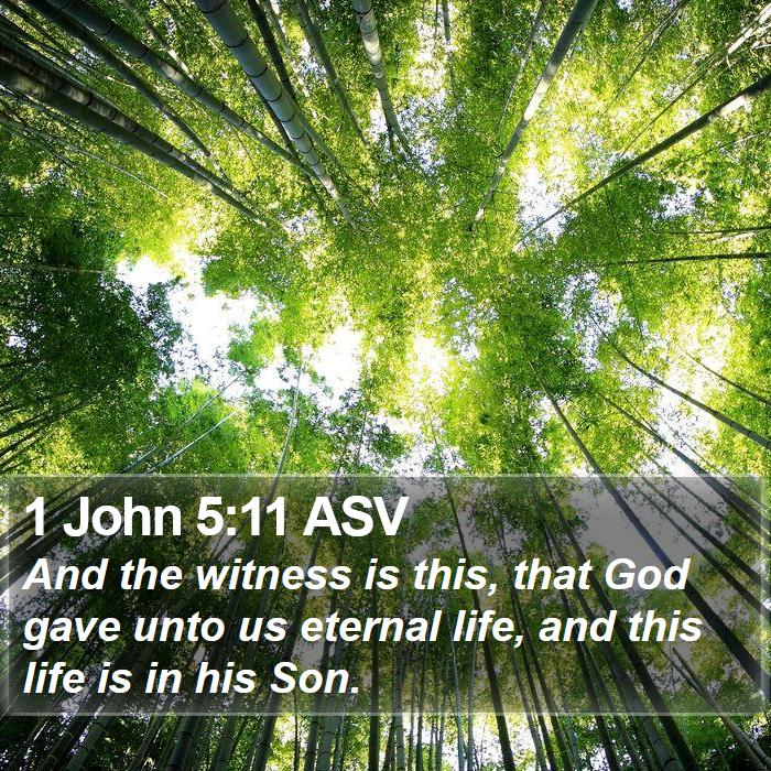 1 John 5:11 ASV Bible Study