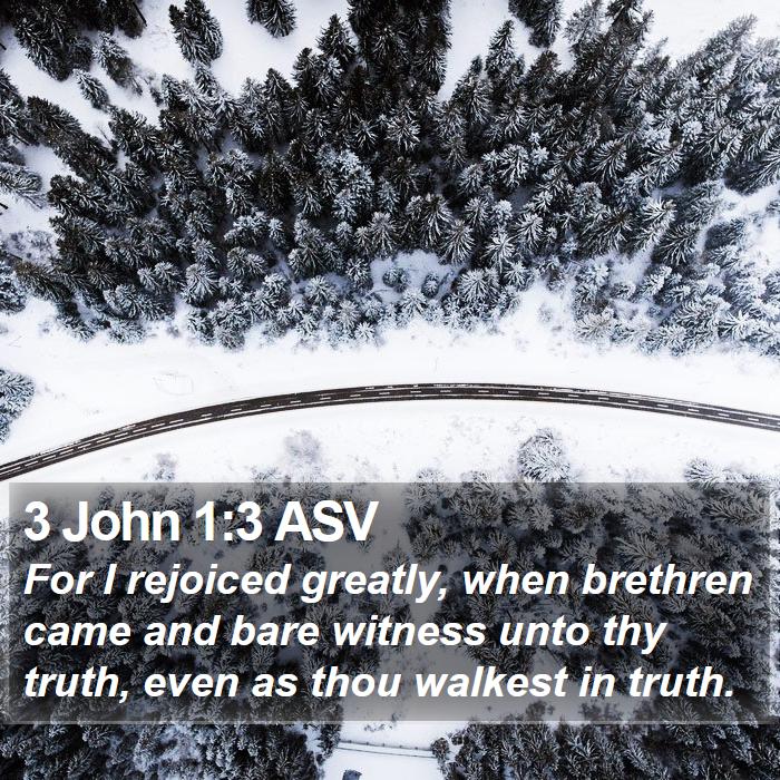 3 John 1:3 ASV Bible Study