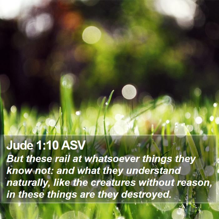 Jude 1:10 ASV Bible Study