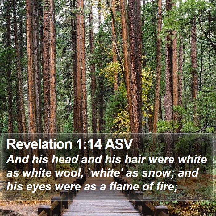 Revelation 1:14 ASV Bible Study