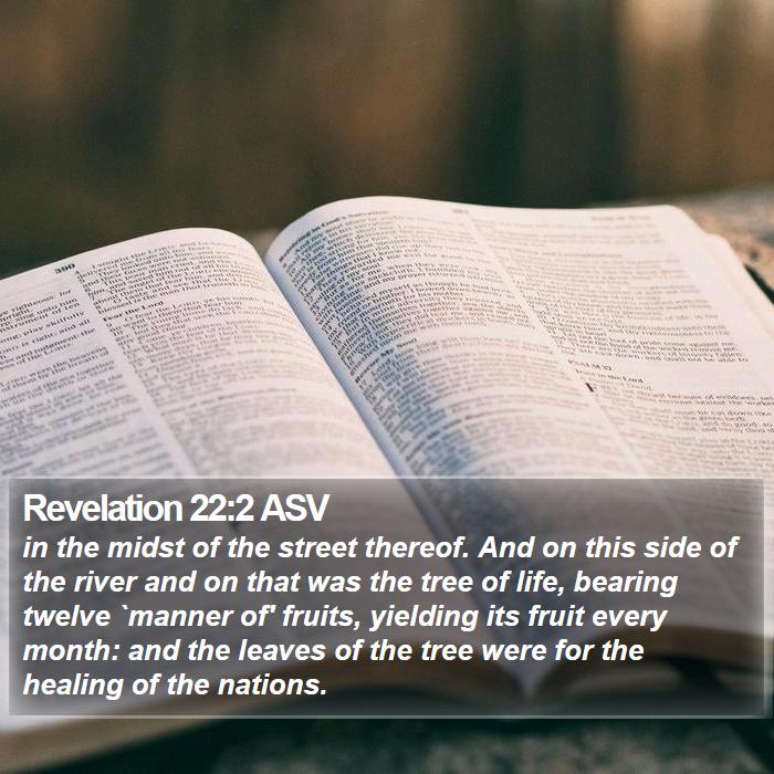 Revelation 22:2 ASV Bible Study