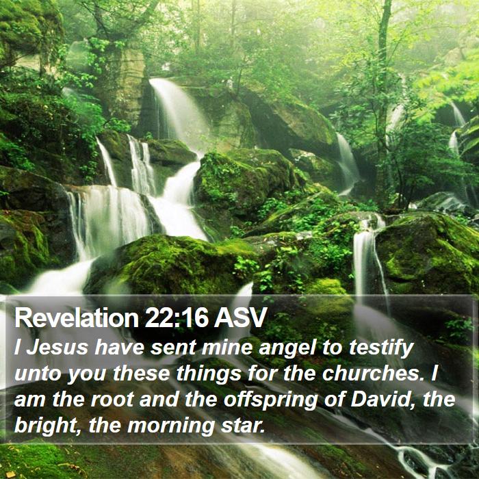 Revelation 22:16 ASV Bible Study